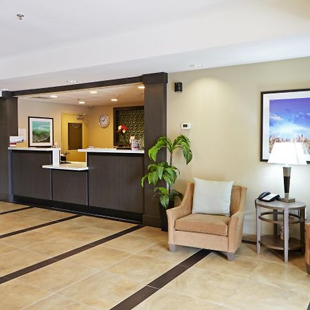 Candlewood Suites San Antonio Airport By Ihg Экстерьер фото