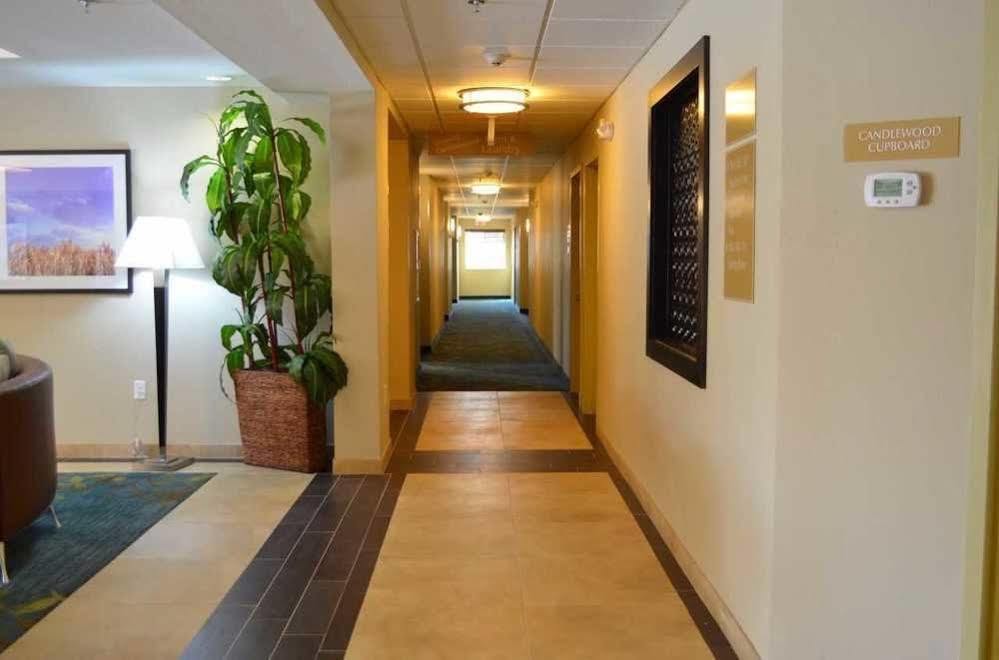 Candlewood Suites San Antonio Airport By Ihg Экстерьер фото